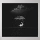 Pesquisar por sapo preto pôsteres pósteres Anfíbio