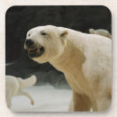 Pesquisar por urso polar porta copos Vida selvagem