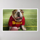 Pesquisar por bulldog pôsteres pósteres Qualquer pessoa