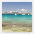 Pesquisar por snorkel adesivos Tropical