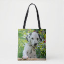Pesquisar por dalmatian bolsas Cão