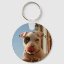 Pesquisar por cão chaveiros Pitbull