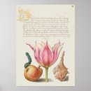 Pesquisar por botanical pósteres Vintage