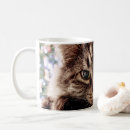 Pesquisar por maine coon canecas Felino