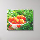 Pesquisar por tomate impressão de canvas Legumes