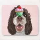 Pesquisar por spaniel de springer Cupcake