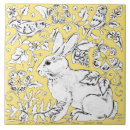 Pesquisar por coelhos azulejos Qualquer pessoa