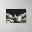 Pesquisar por hortaliças impressão de canvas Flores