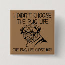 Pesquisar por pug pug botons Pugs