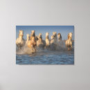 Pesquisar por cavalo impressão de canvas Náutico