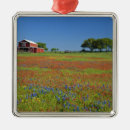 Pesquisar por pitoresco ornamentos Celeiro