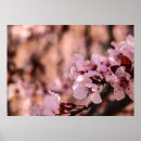 Pesquisar por macro fotografia Rosa