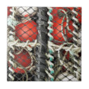 Pesquisar por caranguejo azulejos Moderno