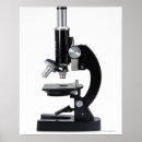 Pesquisar por microscopia pôsteres pósteres Educação