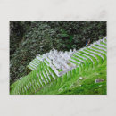 Pesquisar por perus cartoes postais Fotografia