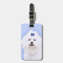 Pesquisar por do cão maltês bagagem tags Para todos