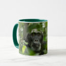 Pesquisar por chimpanzé canecas Vida selvagem