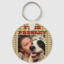 Pesquisar por border collie acessorios Animais de estimação