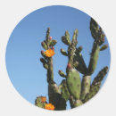Pesquisar por opuntia Pera