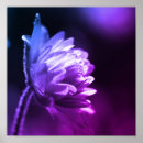 Pesquisar por ponto preto pôsteres pósteres Para ela