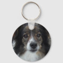 Pesquisar por sheepdog de shetland chaveiros Bonito