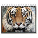 Pesquisar por calandras calendarios Animais