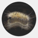 Pesquisar por caterpillar adesivos Lagarta