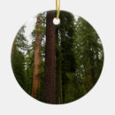 Pesquisar por avermelhado ornamentos Natureza