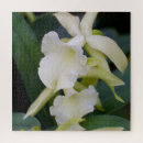 Pesquisar por horticultura Roxo
