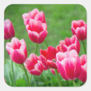 Pesquisar por tulipas adesivos Fofofo