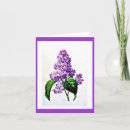 Pesquisar por redoute cartoes Botanical