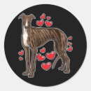 Pesquisar por galgos adesivos Cão