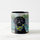 Pesquisar por labrador canecas Labrador retriever preto