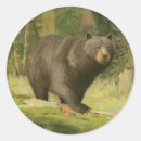 Pesquisar por pássaro preto adesivos Natureza