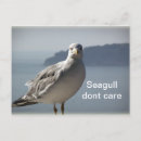 Pesquisar por gaivota cartoes postais Natureza
