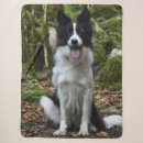 Pesquisar por border collie mantas Cão