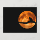Pesquisar por sombra gato cartoes postais Lua