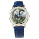 Pesquisar por galinha fotografia Para crianças