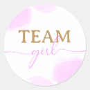 Pesquisar por revisões adesivos Revelação de gênero