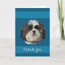 Pesquisar por shih tzu puppy cartoes Pet