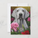 Pesquisar por do weimaraner cartoes Cão