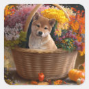 Pesquisar por inu do shiba materiais festa Animais de companhia