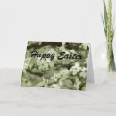 Pesquisar por happy easter cartoes Springtime