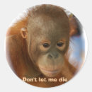 Pesquisar por cara macaco adesivos Animais