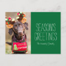 Pesquisar por natal animal cartoes postais Animais de estimação