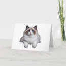 Pesquisar por ragdoll cartoes convites Gata