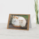 Pesquisar por veterinário engraçado cartoes Amigo