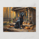 Pesquisar por labrador retriever preto cartoes postais Animais