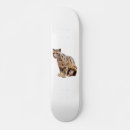 Pesquisar por gato marrom skates Animal