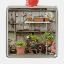 Pesquisar por decoração home de califórnia ornamentos California